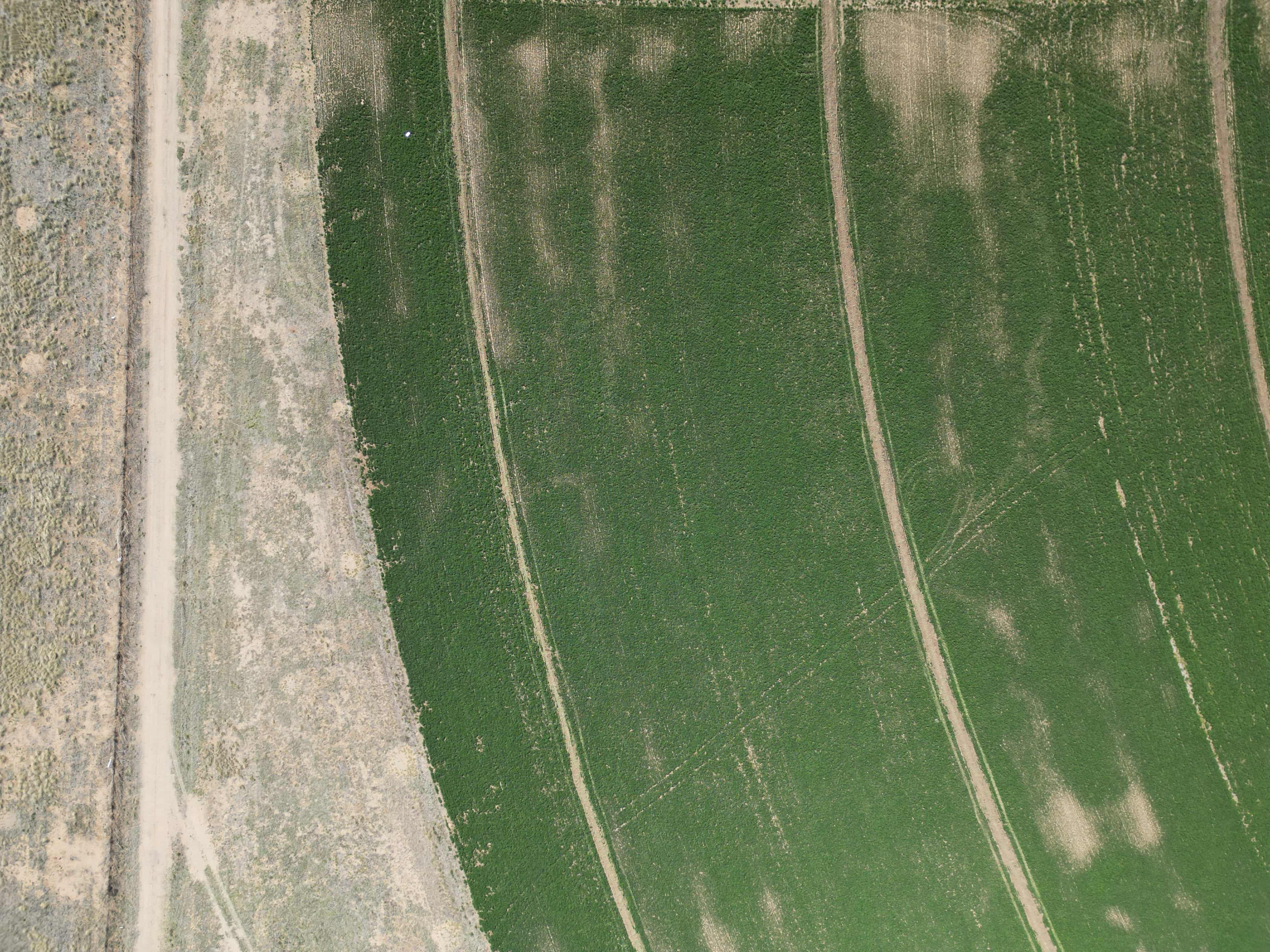 Precision Agriculture